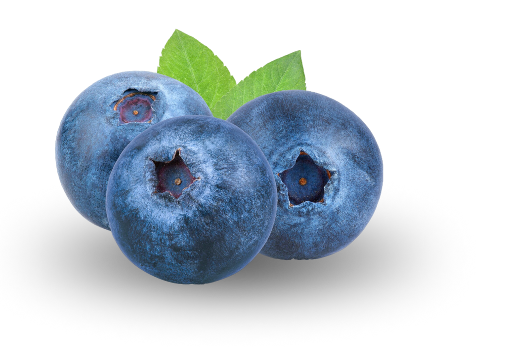 Cirola Blueberries
