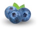 Cirola Blueberries