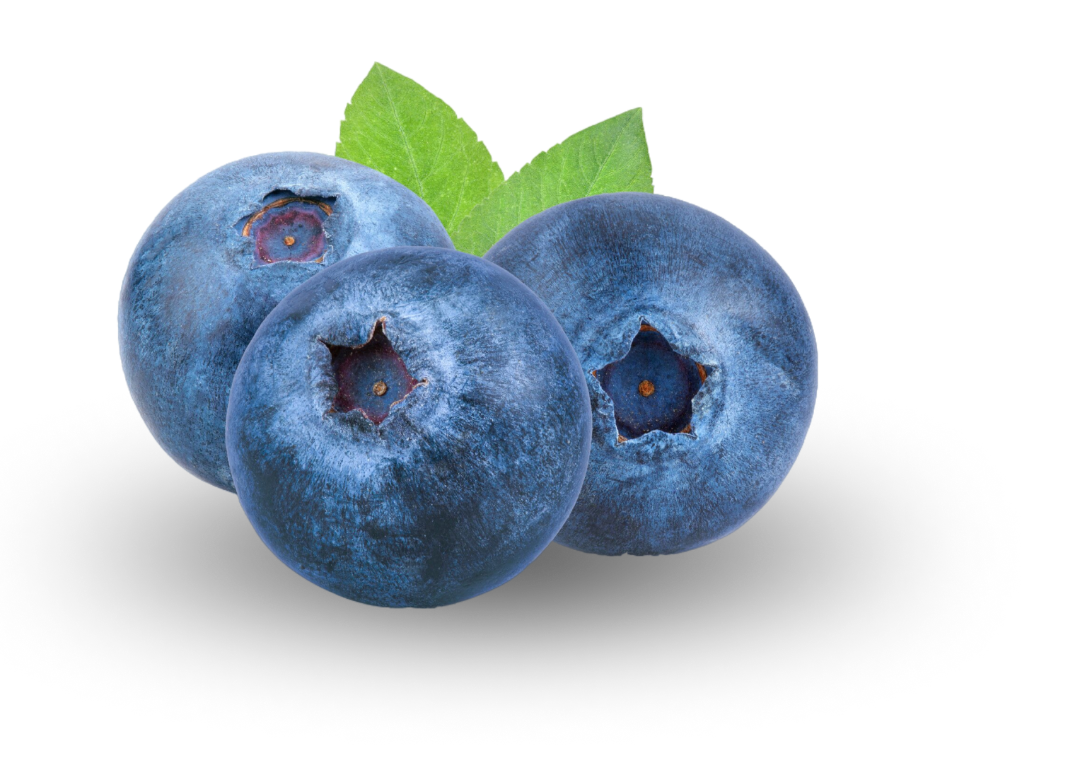 Cirola Blueberries