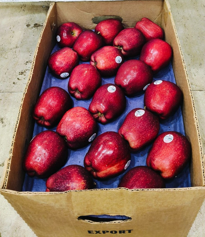 Cirola Apple Washington (USA)