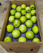 Cirola Apple Granny Smith