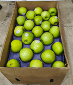 Cirola Apple Granny Smith