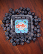 Cirola Blueberries