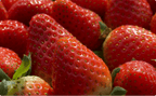 Cirola Strawberry