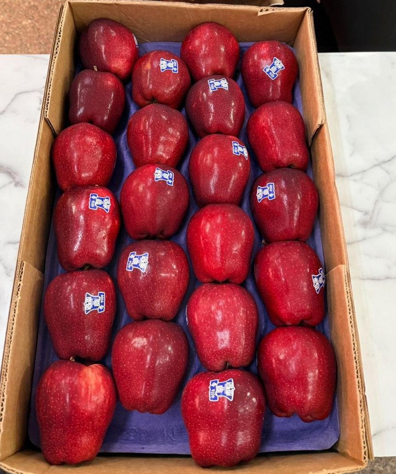 Cirola Apple Washington (USA)