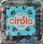 Cirola Blueberries