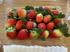 Cirola Strawberry
