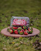 Cirola Strawberry